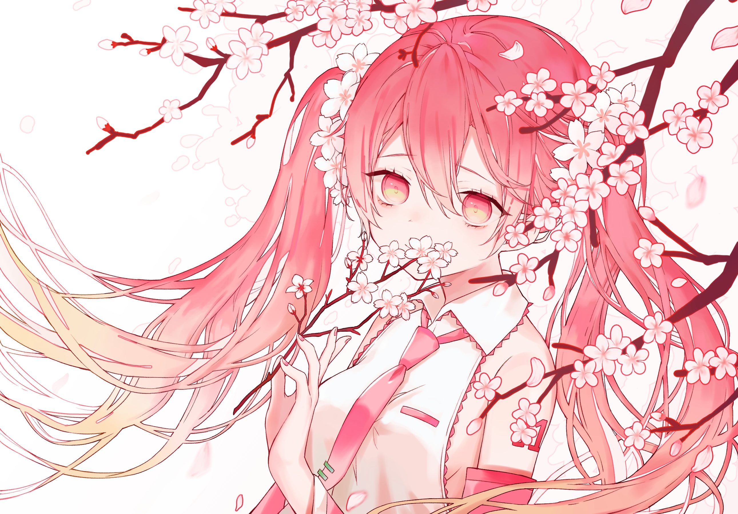 Sakura Miku (Сакура Мику) волосы